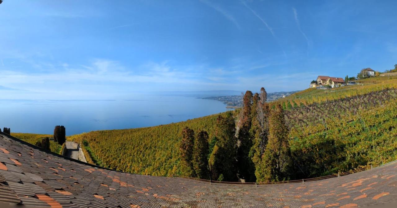 Domaine De La Crausaz Grandvaux Bagian luar foto